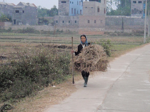 Farmer with hay in Vietnam