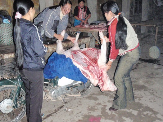 Fresh pig meat in Vietnam market