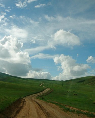 Hustai National Park, Mongolia